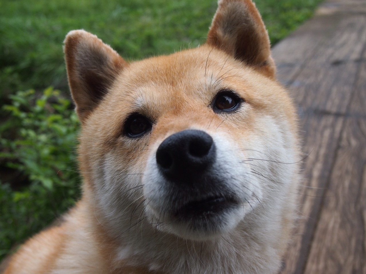 开云入口-德甲青训营吸引大量年轻才俊加盟，德甲青训体系