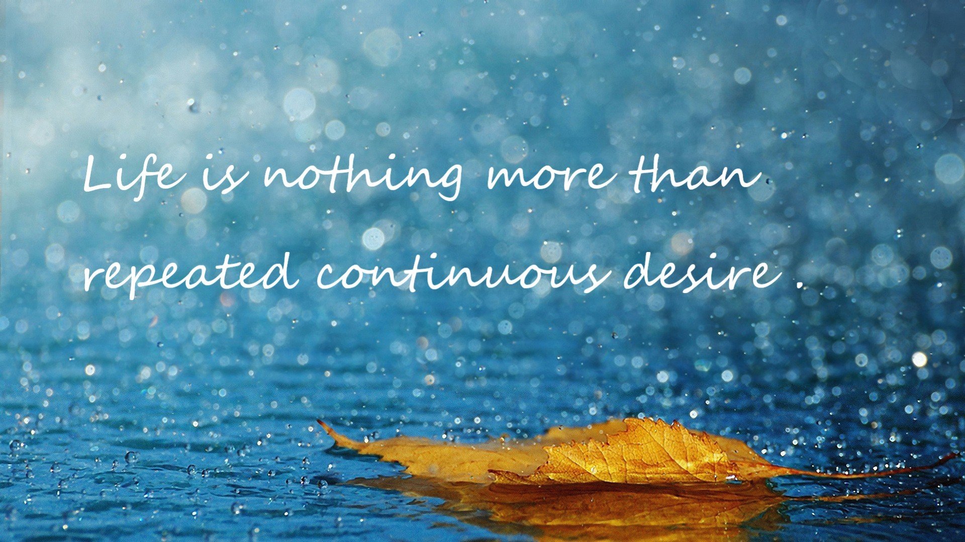 挪威队未能晋级欧洲杯,哈兰德表示失望,挪威队未能晋级欧洲杯,哈兰德表示失望吗