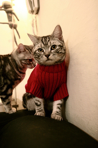 杭州瑜伽论坛成功举办,探讨行业未来,杭州瑜伽馆一般怎么收费