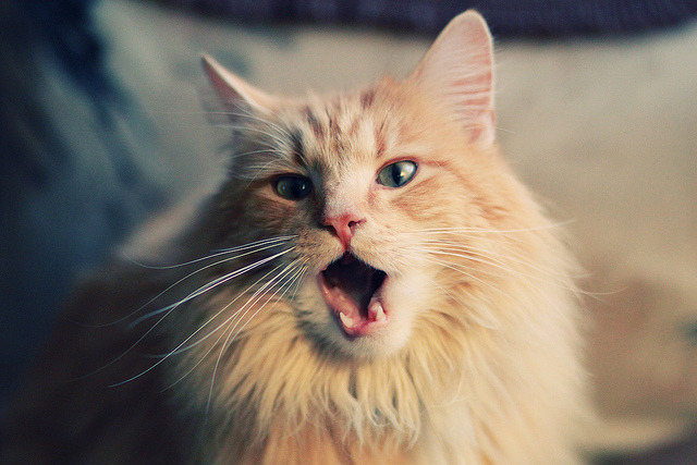 电竞赛事奖金创新高,职业选手收入稳步提升,电竞选手比赛奖金如何分配