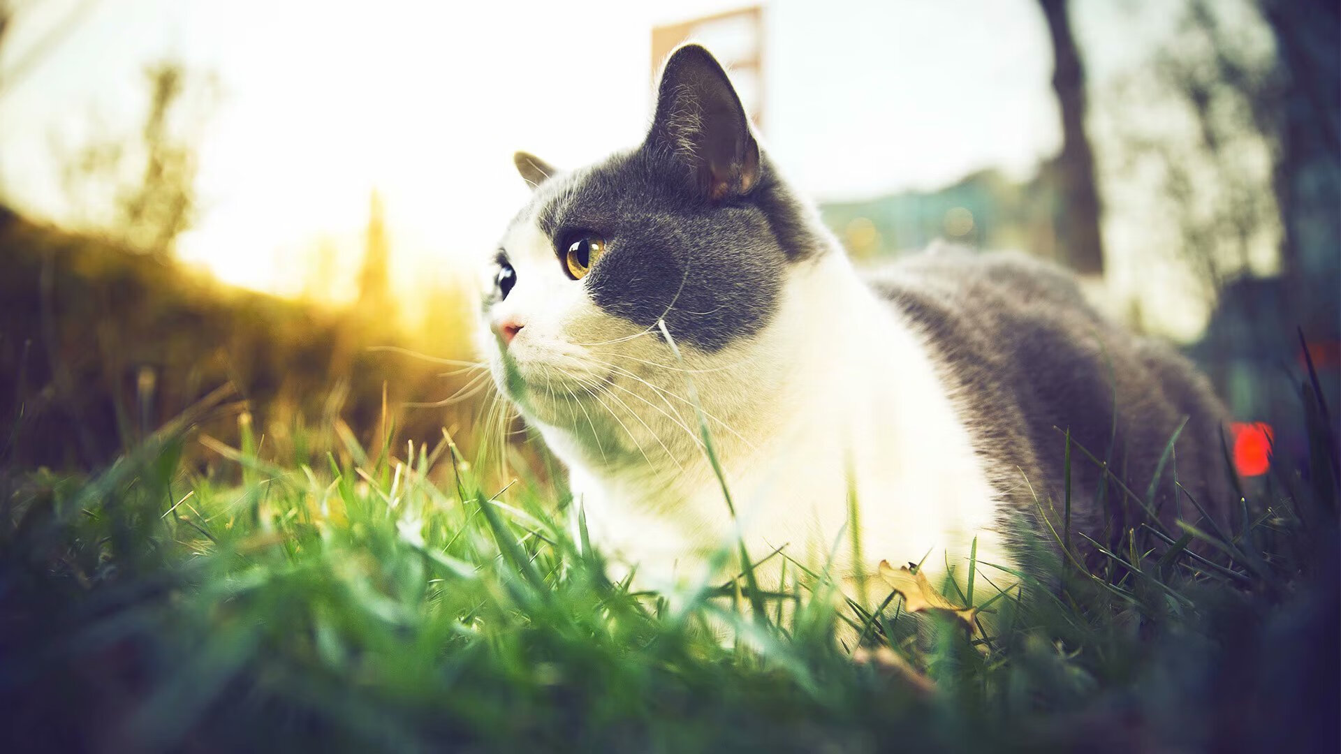 Kaiyun(中国)开云-篮球比赛数据分析助教练决策优化，篮球比赛数据统计表格