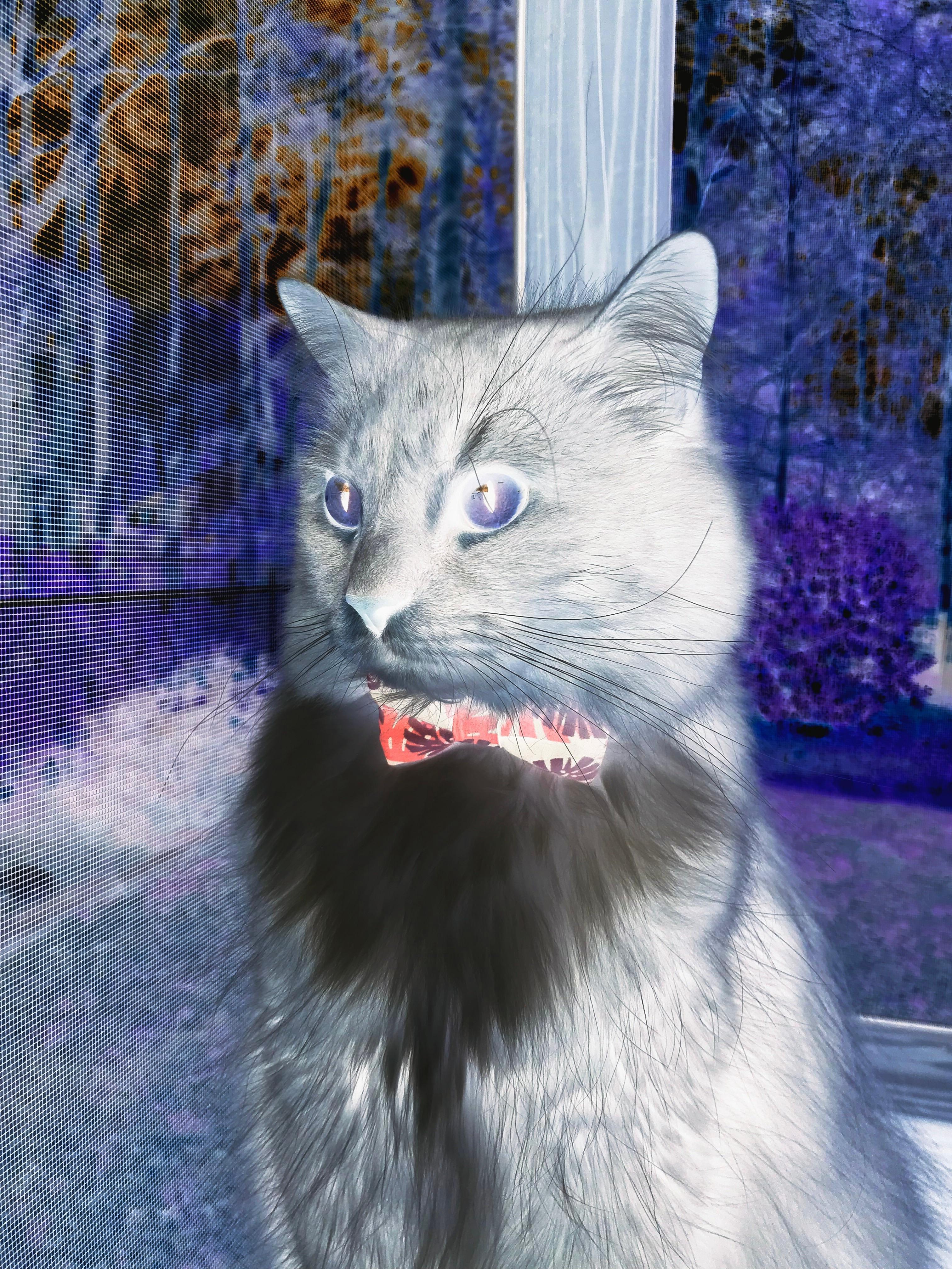 kaiyun官方网站-英雄联盟 季后赛激战正酣 TES鏖战五局险胜对手，英雄联盟季后赛2021