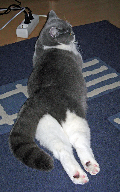 足球场馆智能安检系统覆盖主要城市,公共安全保障提升,足球场设备