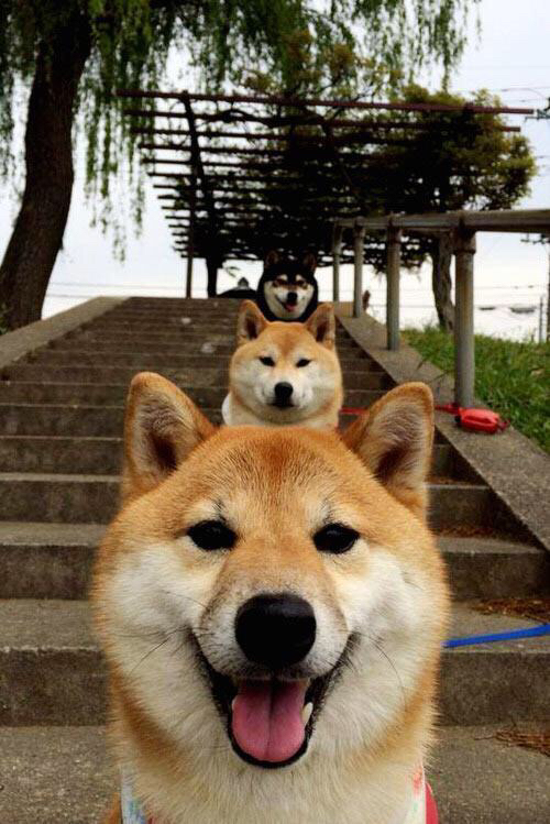 开云官网-青少年“运动+艺术”跨界大赛在杭州盛大开幕，探索多元融合，青少年艺术盛典含金量