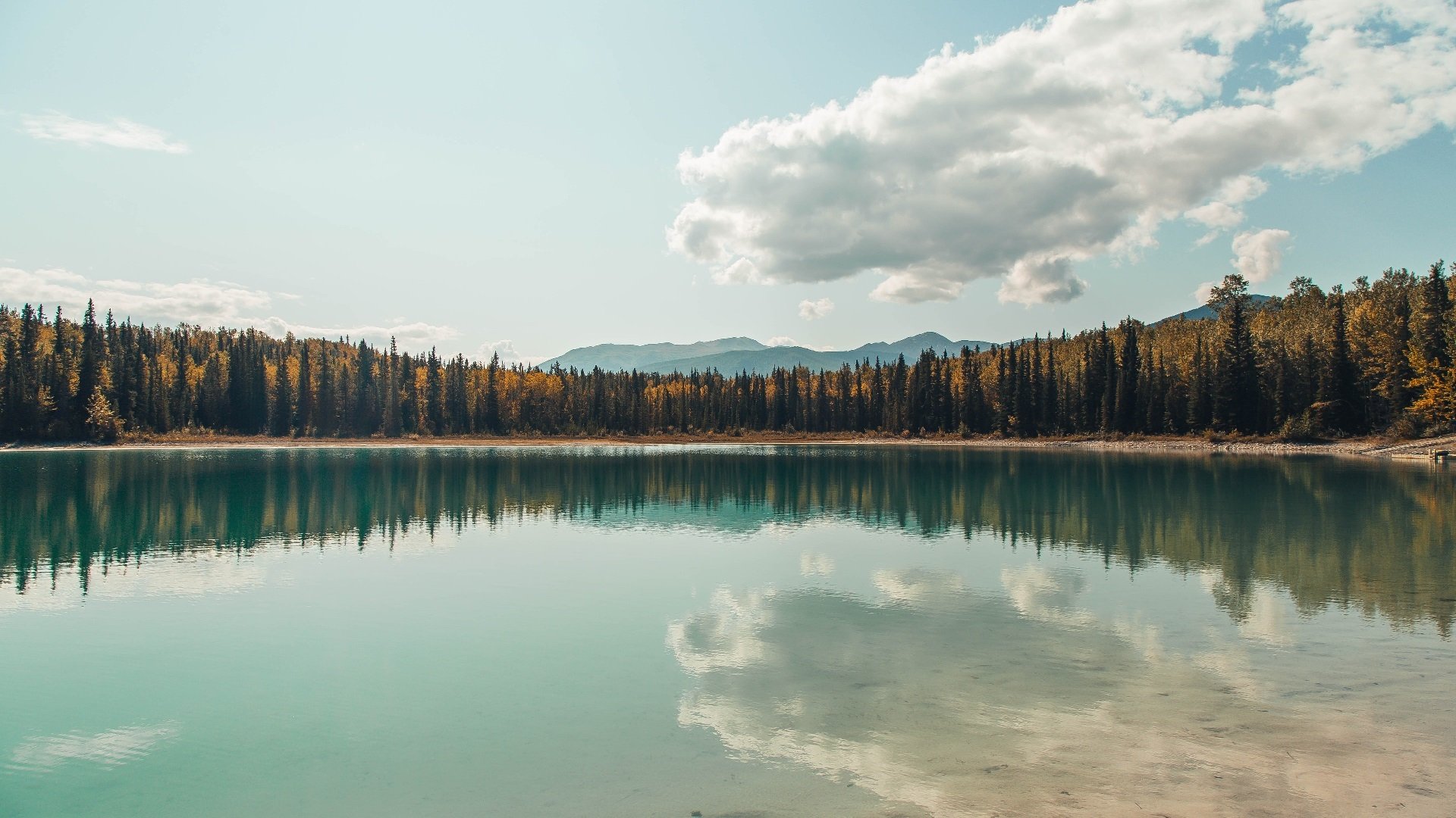 开云网页版-上海海港防守端失球减少，上海海港队守门员