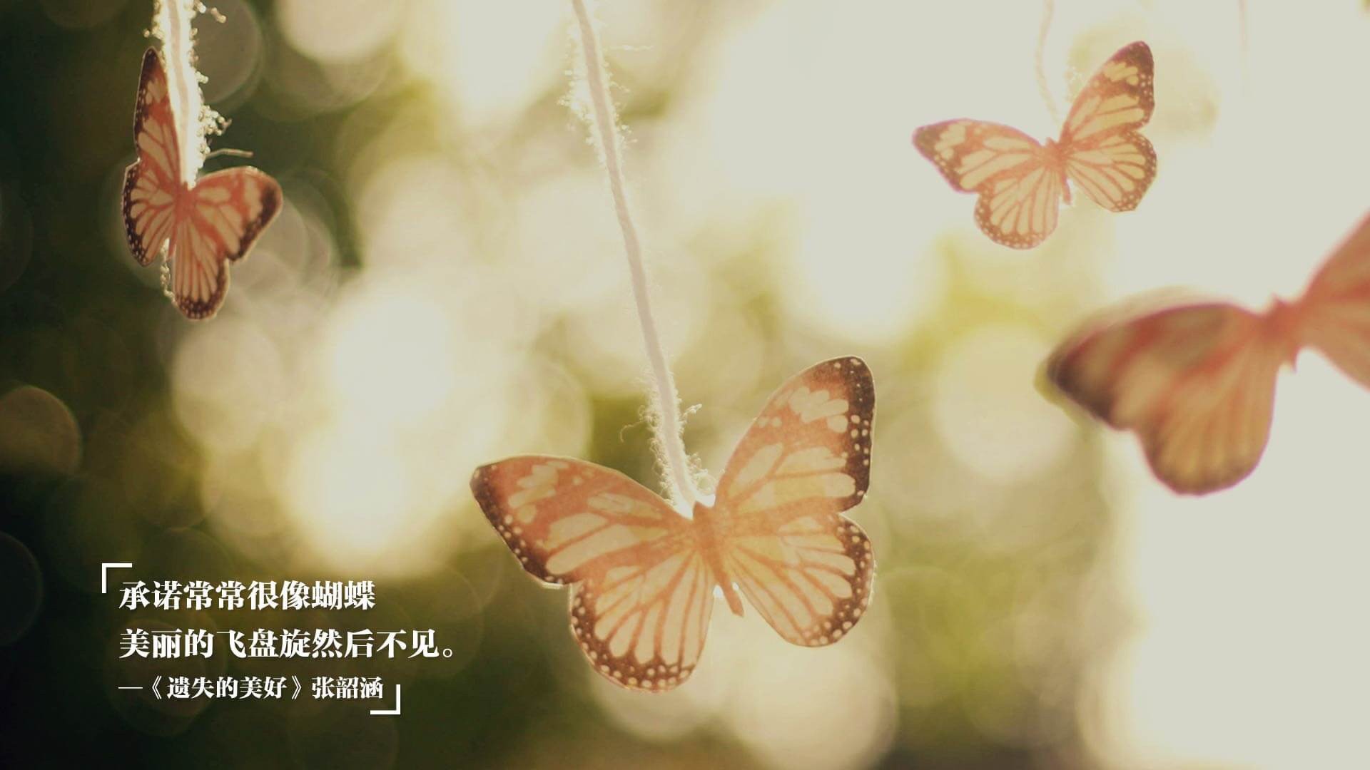 江苏龙球队快速反击效率高,主场龙球队