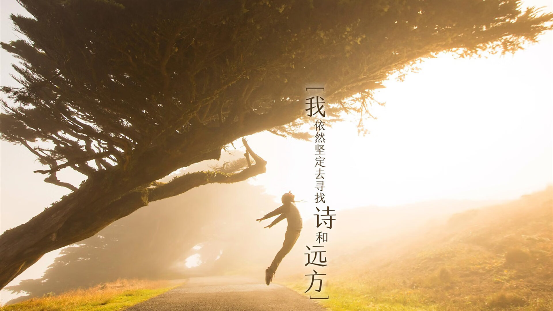 kaiyun体育综合-球场英雄集结：全球篮球明星争霸秀绝技，篮球巨星合集