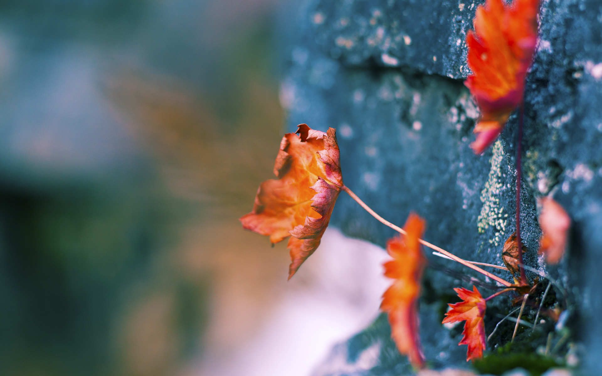 Kaiyun APP-选手实力展现，最佳阵容揭晓女足比赛，女足最强阵容