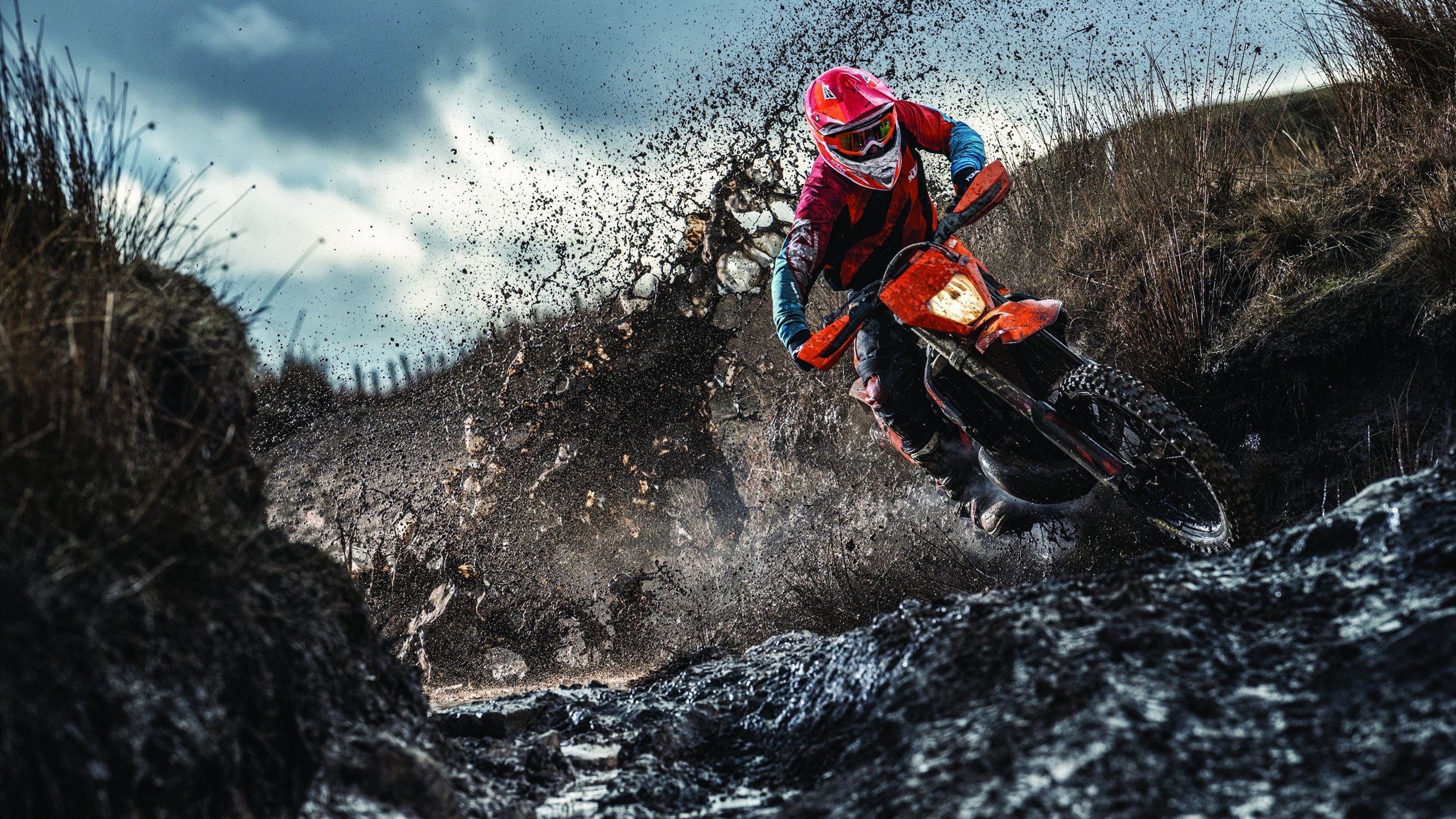 比利时马术协会引入智能马鞍系统,实现实时数据监测与分析,提升骑乘体验。