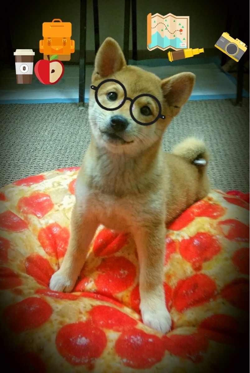 开云官方网站-中国篮球职业联赛市场营销策略分析与实施，篮球的市场营销