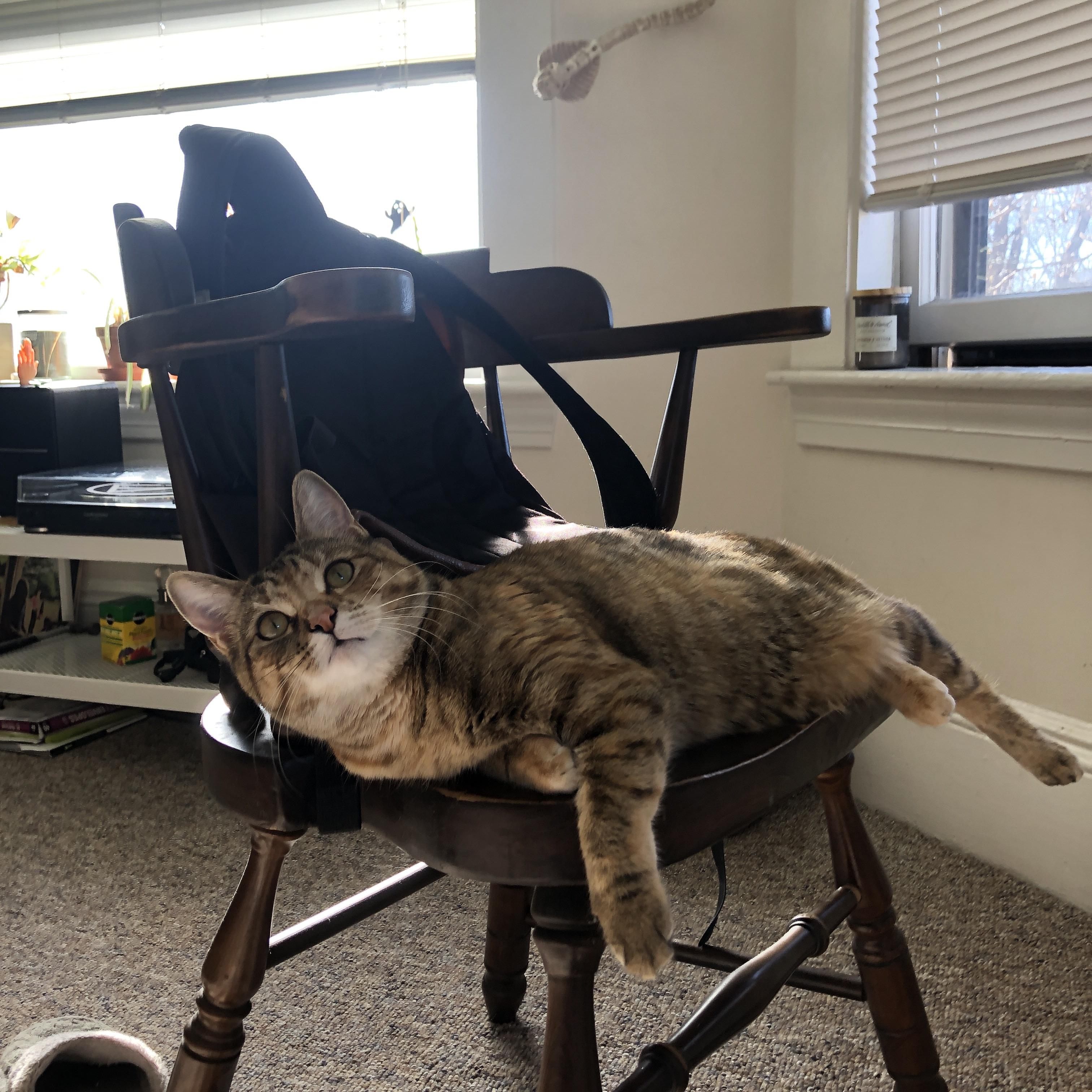 kaiyun官方网站-体育产业资本投入分析报告，体育产业资本市场