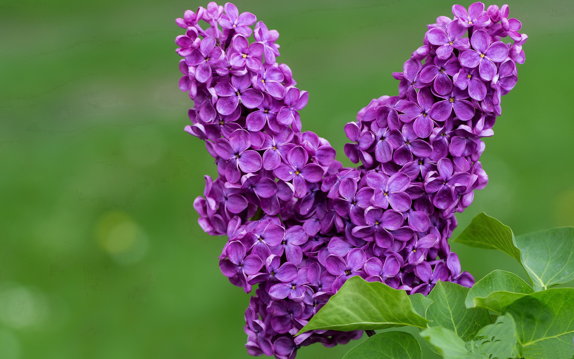 KAIYUN 中国大陆-意甲前场进攻压迫效率与对手失误率之间的多变量分析，意甲进攻型球队