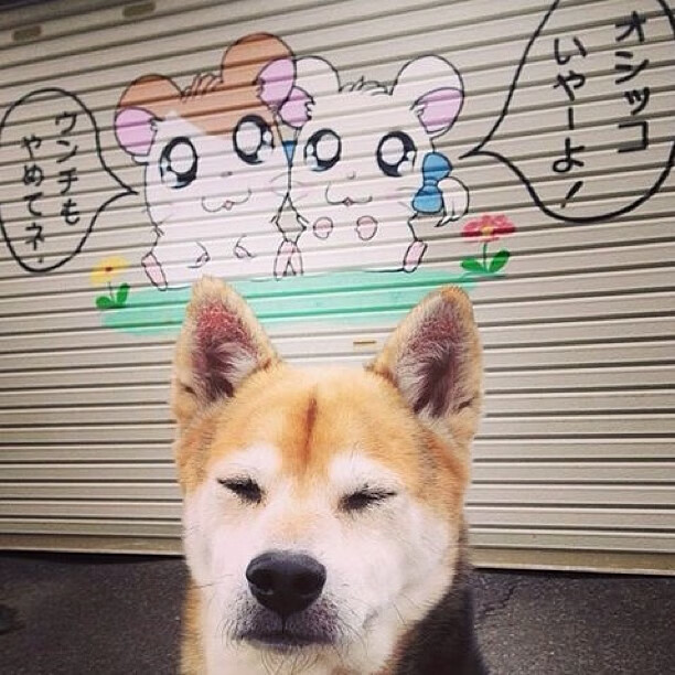 CBA赛季裁判判罚透明公正，cba裁判何时整治