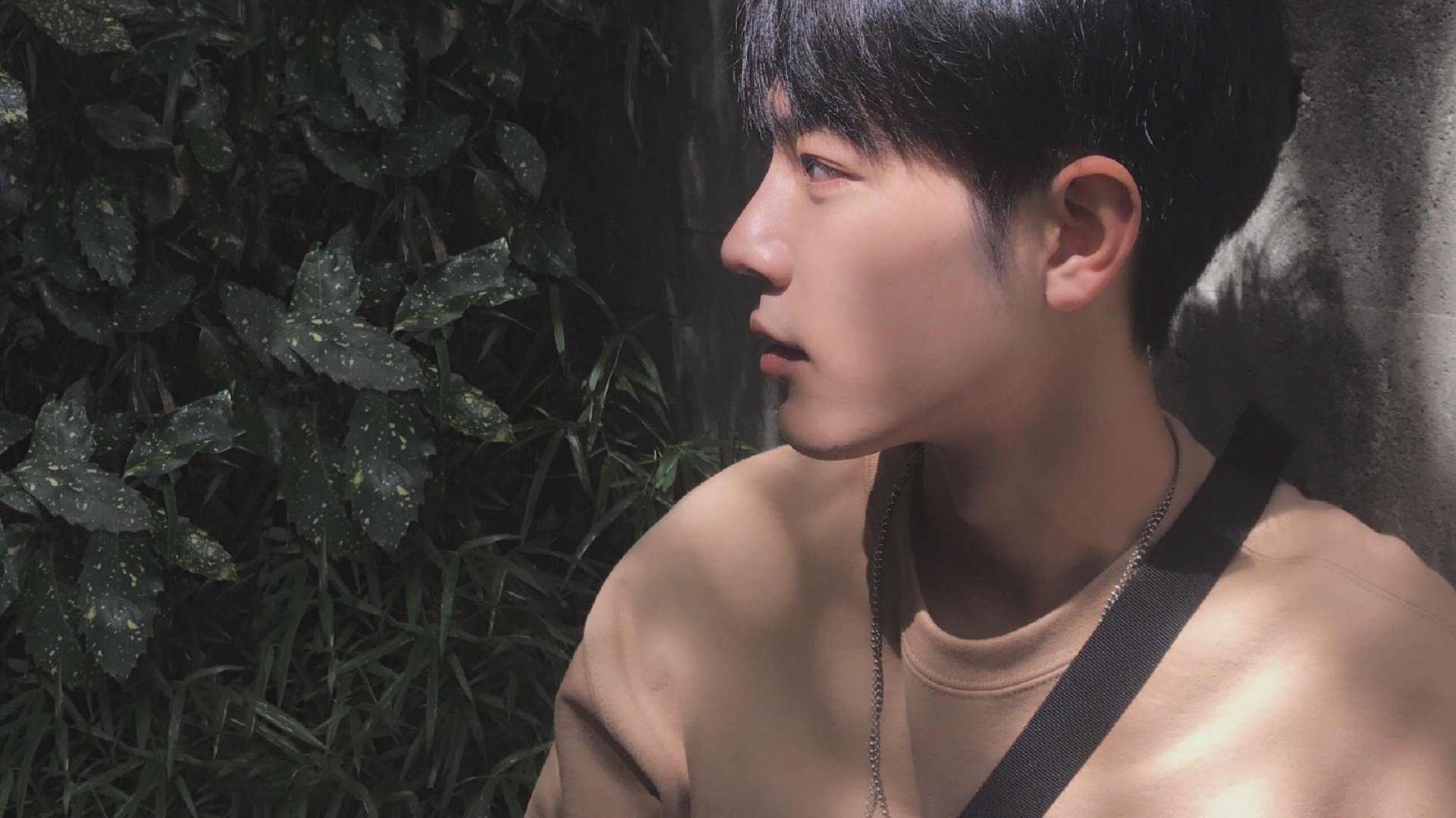 外援适应球队节奏成为成败关键融合度需加强,外援球队球员