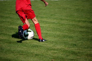 开云平台-CBA球队加强后勤保障体系优化训练和比赛准备，cba后备联赛