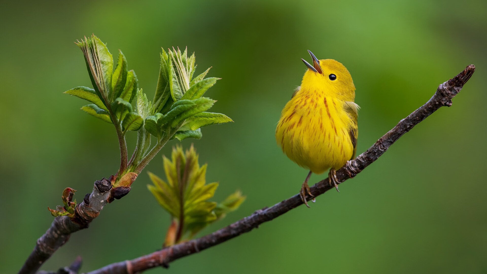 kaiyun开云·官方网站-体育新闻中心发布少儿体育培训机构风险提示，体育新闻中心发布少儿体育培训机构风险提示