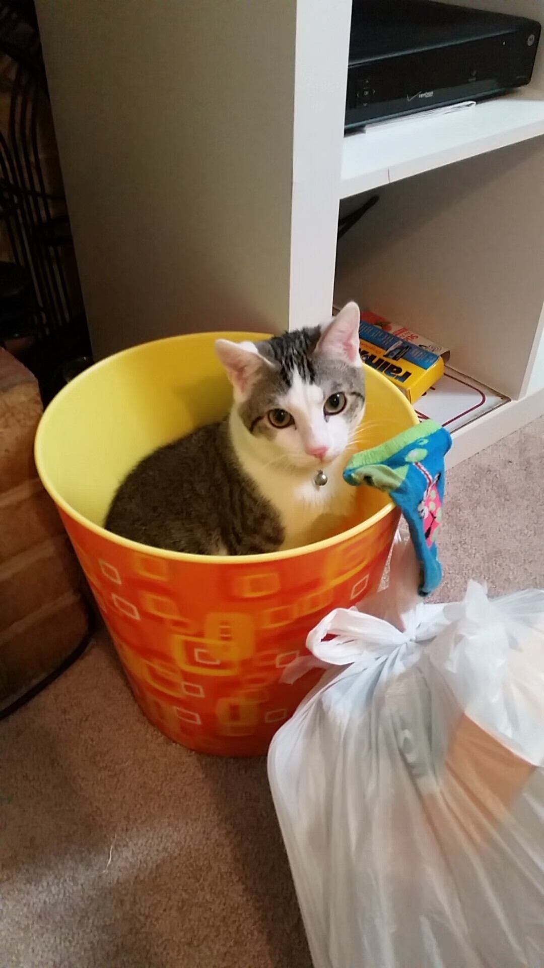 国际橄榄球联盟发布发展蓝图，国际橄榄球的标准规则