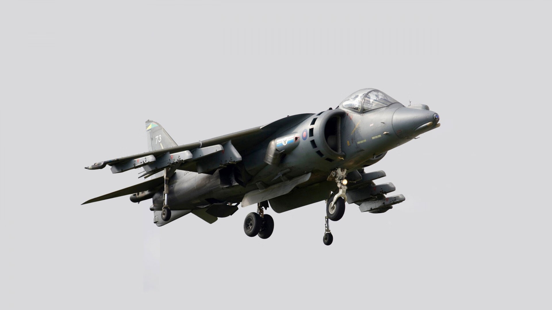 王嘉男火线复出跳远大奖赛,王嘉楠跳远